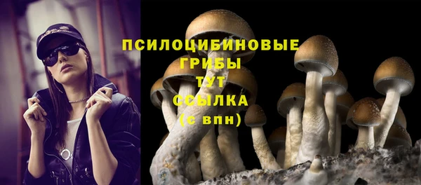 COCAINE Гусиноозёрск
