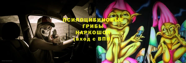 прущая мука Гусев