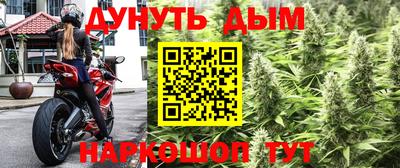 spice Заводоуковск