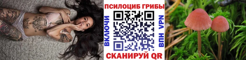 Галлюциногенные грибы Cubensis мега Можайск