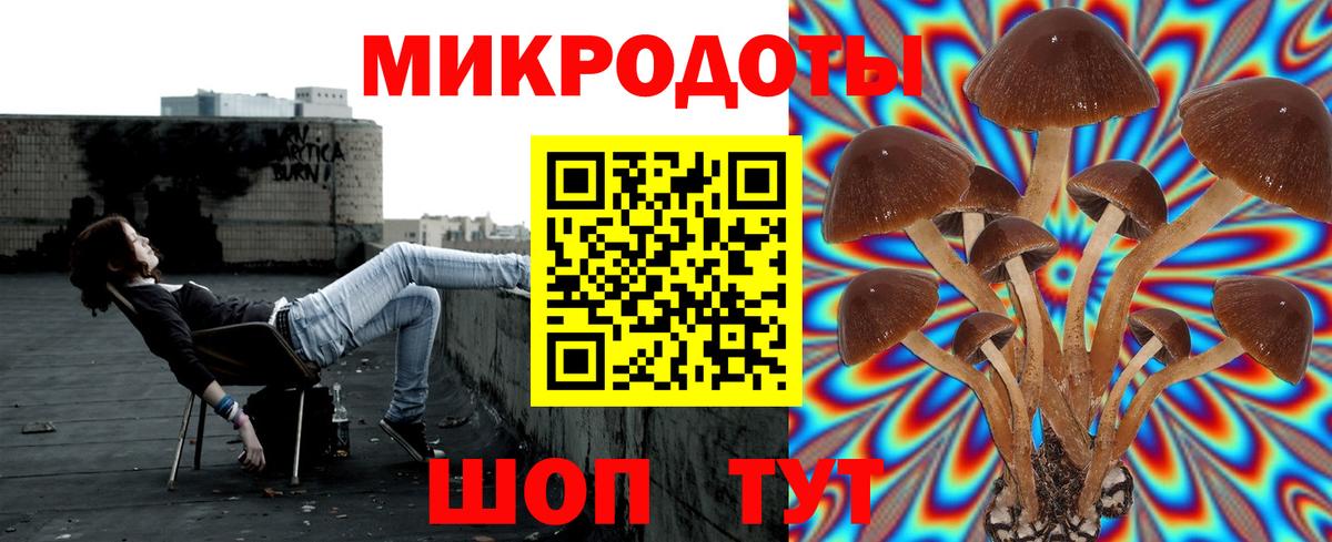 Псилоцибиновые грибы мухоморы Можайск