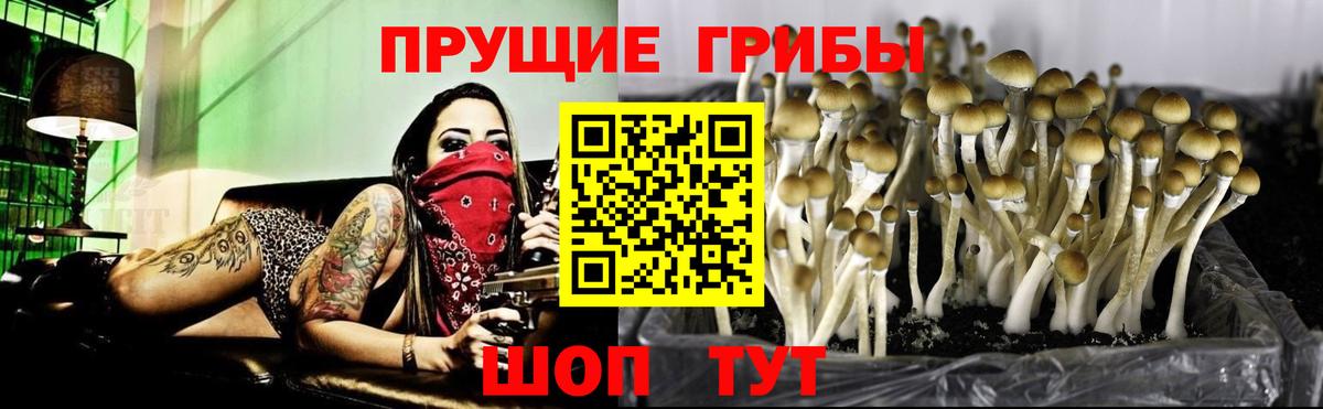 Галлюциногенные грибы мицелий Можайск