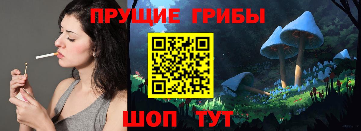 Псилоцибиновые грибы ЛСД  Можайск  где можно купить   Галлюциногенные грибы Psilocybe 